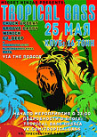 Tropical Bass w / VIA The Robots