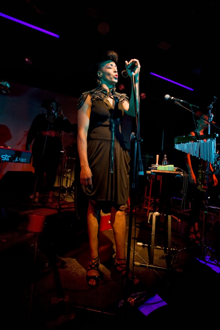 Фото Zap Mama (BE), <br>Guru Groove Foundation 