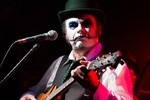 Tiger Lillies…