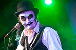 Tiger Lillies…