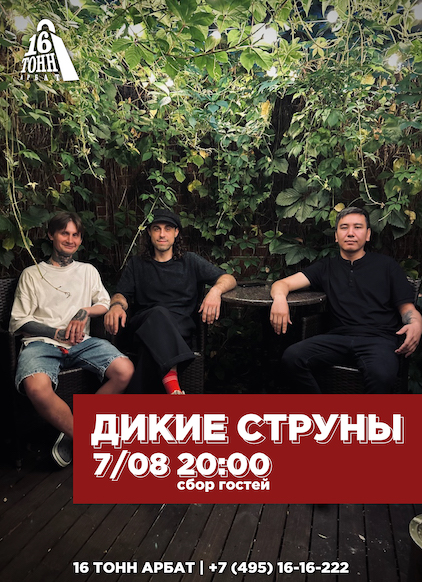 Афиша Дикие струны 